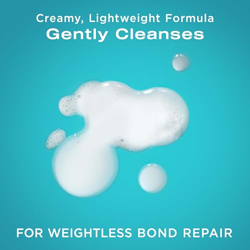 OGX Repair & Protect Bond Protein-Repair Shampoo, Lightweight Hair Wash Cleanses & Targets Damaged Hair for Effective Bond-Repairing, Formulated without Parabens, 13 fl. oz,(Pack of 2)