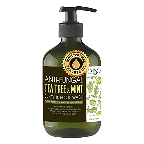 Aloe Vera Gel with Organic Aloe Vera Cold Pressed and Tea Tree Oil Body Wash with Mint