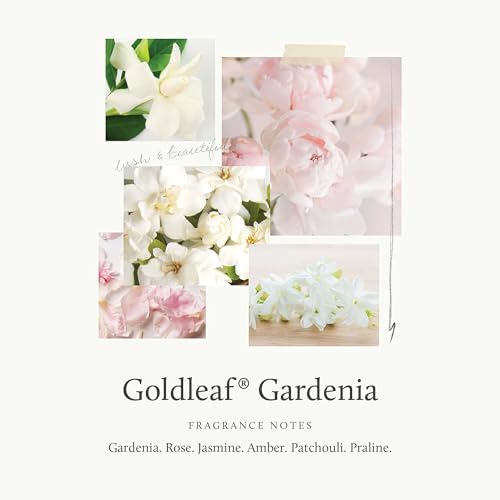 Thymes Goldleaf Gardenia Perfumed Body Cr?me - Moisturizing Body Cream - Shea Butter Body Lotion with Aloe Vera & Honey for Skin Care Routine - Body and Hand Lotion for Women & Men (9.25 fl oz)