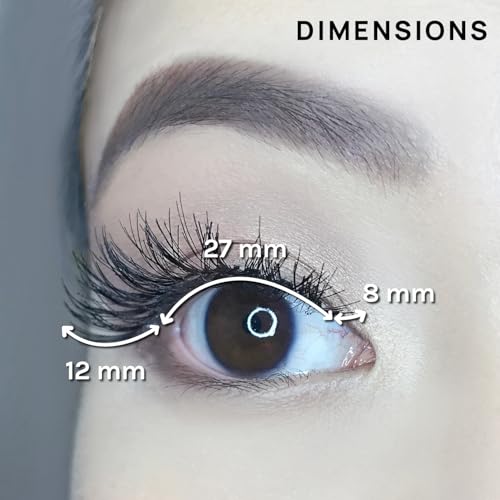 AOA Studio 6 Pairs Alexis Natural Handmade False Eyelashes with Glue and Tweezer Lash Kit Natural Volume Reusable Fake Eyelashes 100 Percent Handmade Cruelty Free