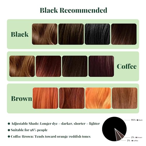 Lash & Brow Color Kit with Olive Oil ? Safe, Long-Lasting Coloring for Natural Fuller Brows & Lashes, Gentle on Skin, Easy DIY Salon-Quality Results at Home (Black)