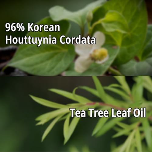 Daymellow Houttuynia real soothing gell300g