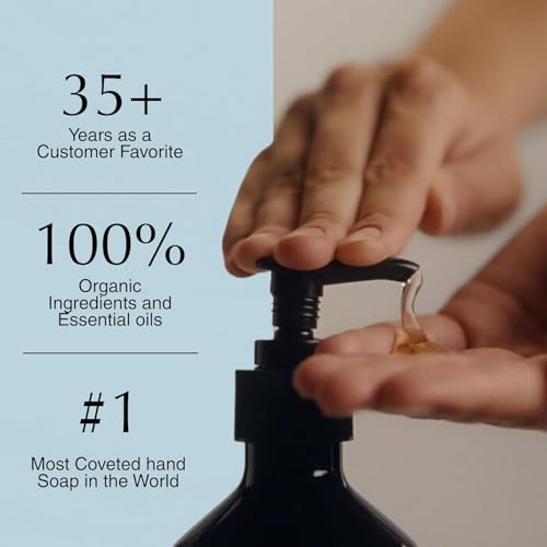 Aesop Reverence Aromatique Hand Wash Refill | Cleanse and Exfoliate the Hands | With Botanical Extracts And Finely Milled Pumice | 16.9 oz