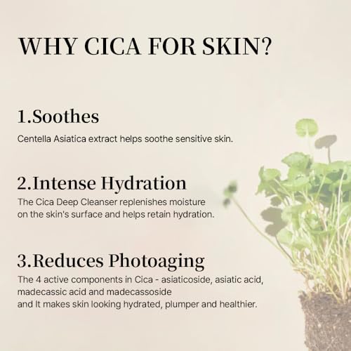 mixsoon Soondy Centella Asiatica Essence-Soothing and Calming for Face, Jeju Island Cica Extracts and Hydrating Formula for Balanced Skin 30ml / 1.01 fl.oz. Korean Glass Skin Care