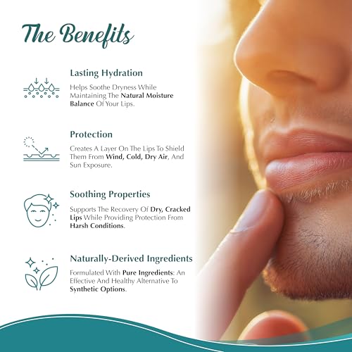 Moisturizing Tallow Lip Balm ? Grass-Fed Beef Tallow with Organic Coconut Oil, Beeswax, and Vitamin E ? Sweet Orange ? Lip Balm Set ? Travel Essential ? 3-Pack
