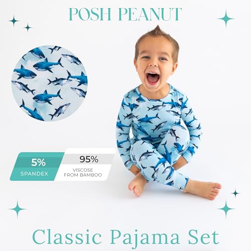 Posh Peanut Boys Pajamas - PJs for Kids Made of Soft Viscose from Bamboo, Long Sleeve Toddler PJs & Matching Boys Pajama Sets