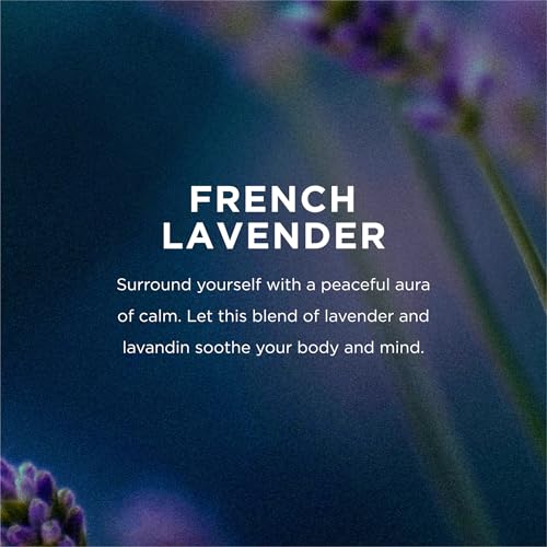 EO Body Lotion Refill, 1 Gallon, French Lavender, Organic Plant-Based, Botanical Extracts, Vitamin E with Pure Essential Oils