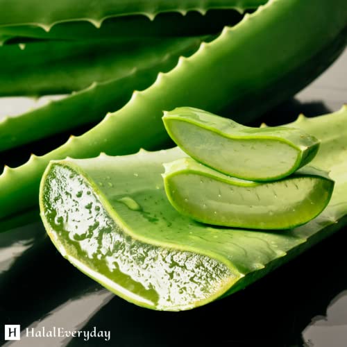 Aloe Vera Butter ?Hydration of Dry Skin Caused By Eczema, Psoriasis, Rosacea, Sun Burn, Wind Burn, and General Chapping 16 Oz (Pack of 2)