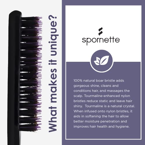 Spornette Boar Bristle Hair Brush for Women & Men - Little Wonder Small Teasing Brush - Create Slick Backs & Volume - Boar & Tourmaline Nylon Bristles for Back Brushing & Combing (Purple)