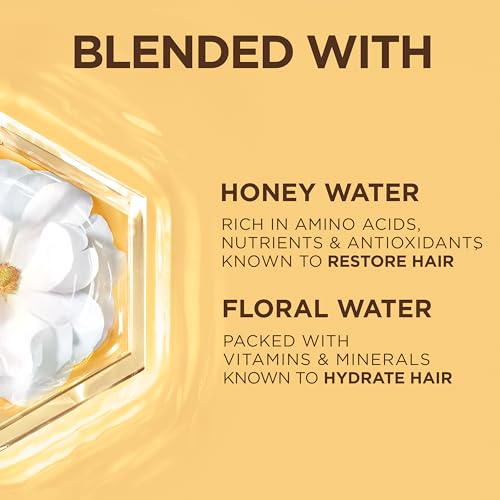 Garnier Whole Blends Honey Water Moisture Restoring Shampoo, Hair Care for Dry Hair and Dry Scalp with Honey Nectar and Floral Water, 28 Fl Oz