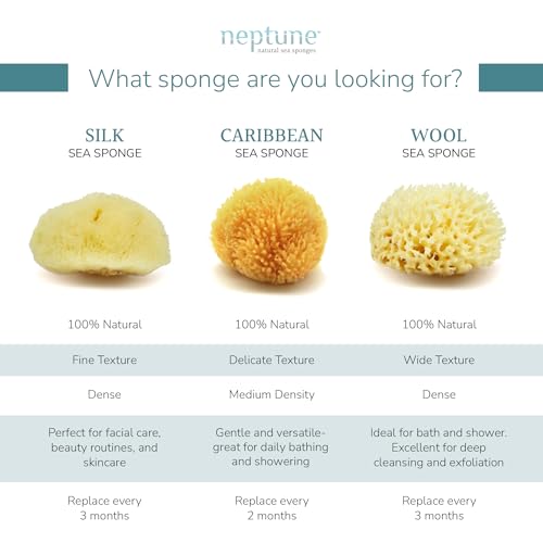 Neptune Caribbean Sea Sponge 2 Pack, Hand Cut, Medium, Approx. 5-6 inches