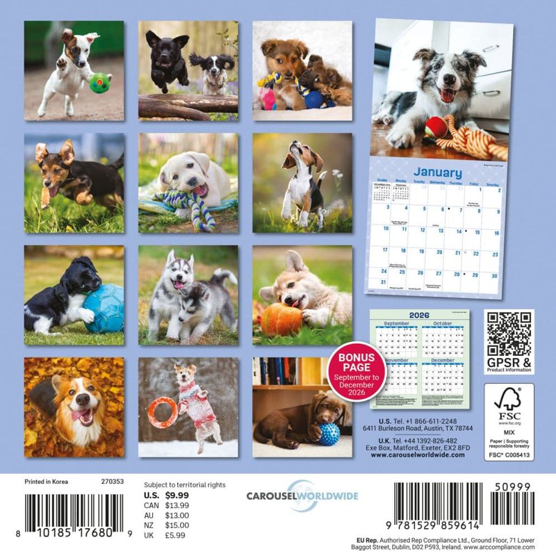 Playful Puppies 2027 Mini Wall Calendar - Adorable Furry Pet Decor