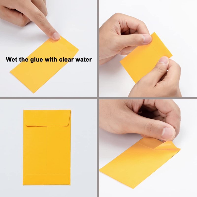 200 Colorful Self-Adhesive Seed & Coin Envelopes 2 1/4×3 1/2 in Storage Pack