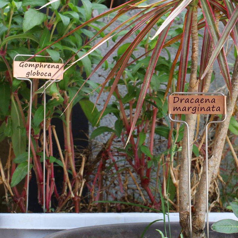 30 Pack 10 Inch Copper Plant Labels Garden Stakes Reusable Markers