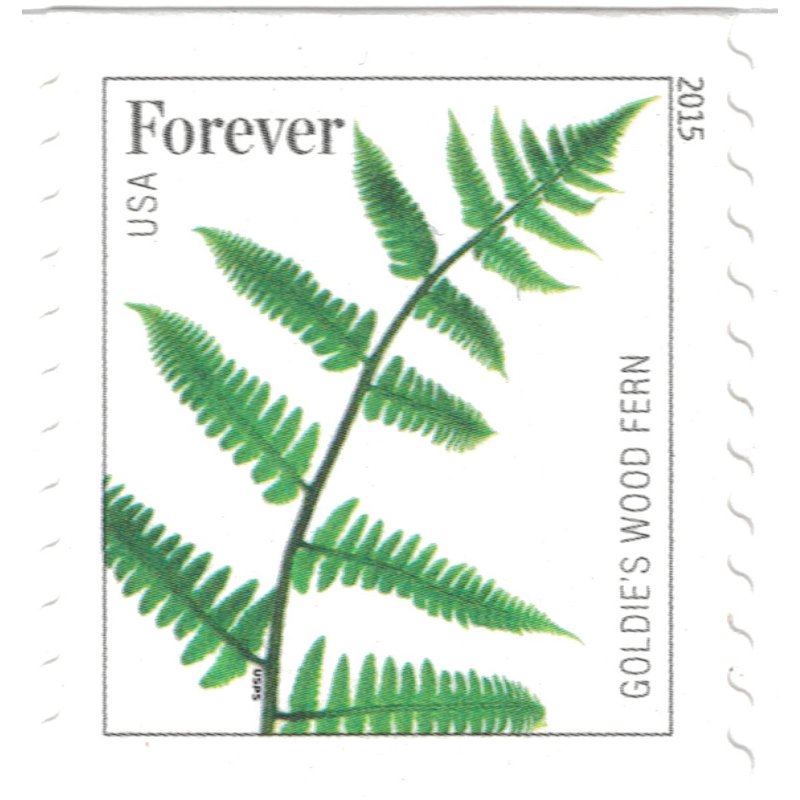 Ferns Postage Stamps Collection - 20, 50, or 100 All Variants