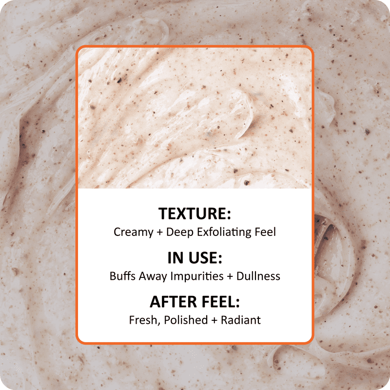 Natural Apricot Face Scrub with Walnut Shells - Deep Exfoliating 6 oz - Multi Pack