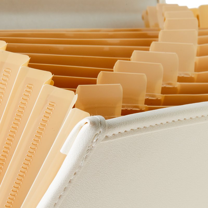 13-Pocket Expandable Folder for Office & School Files - A4 & Letter Size