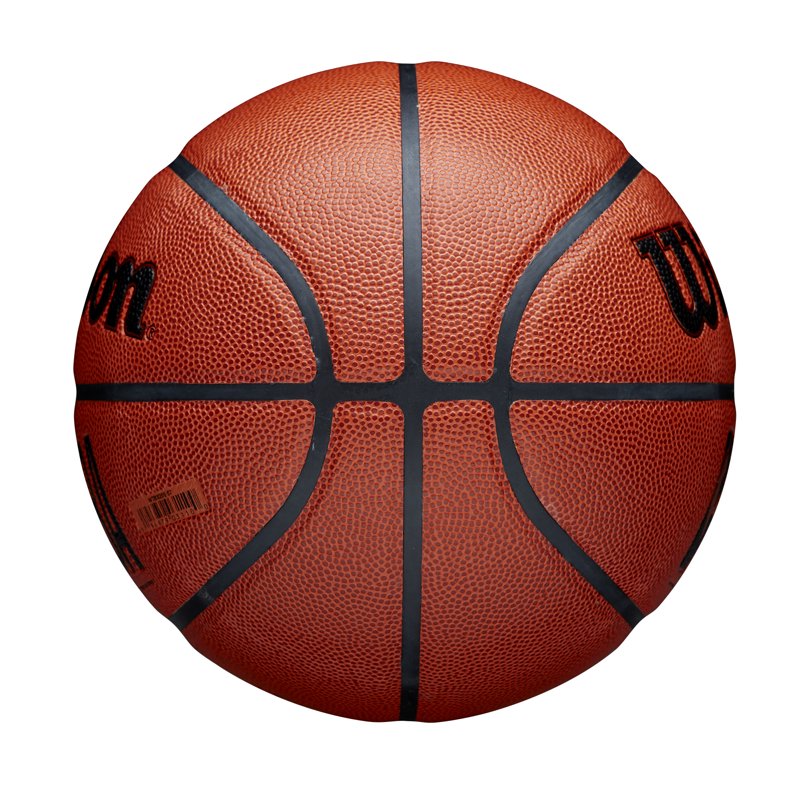 Wilson NBA Forge Indoor Outdoor Basketball - Size 7 29.5"