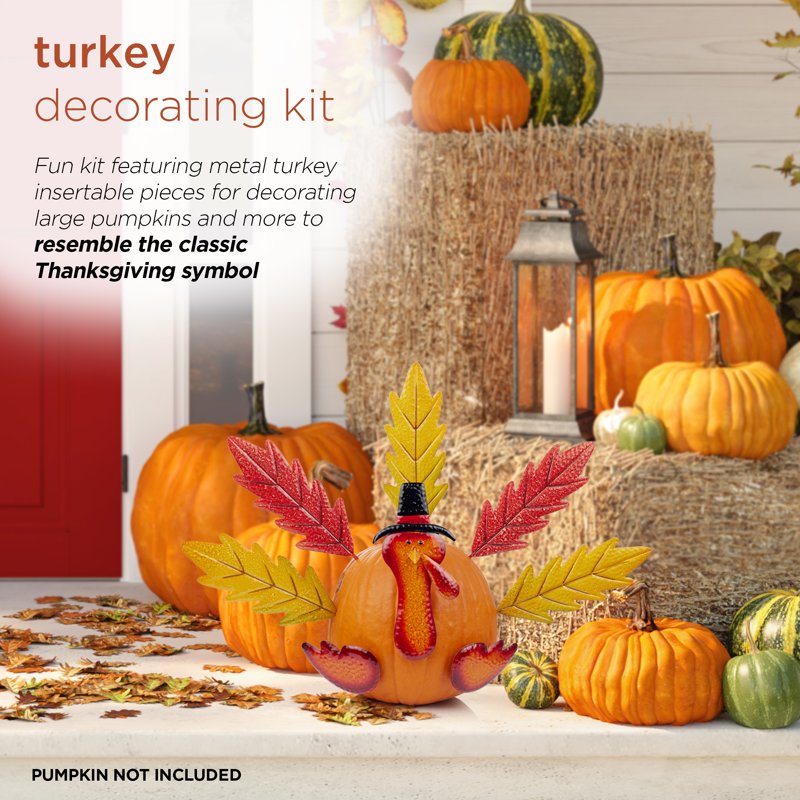 Thanksgiving Turkey Craft Kit with Metal Feathers for Pumpkin & Fruit Decoration