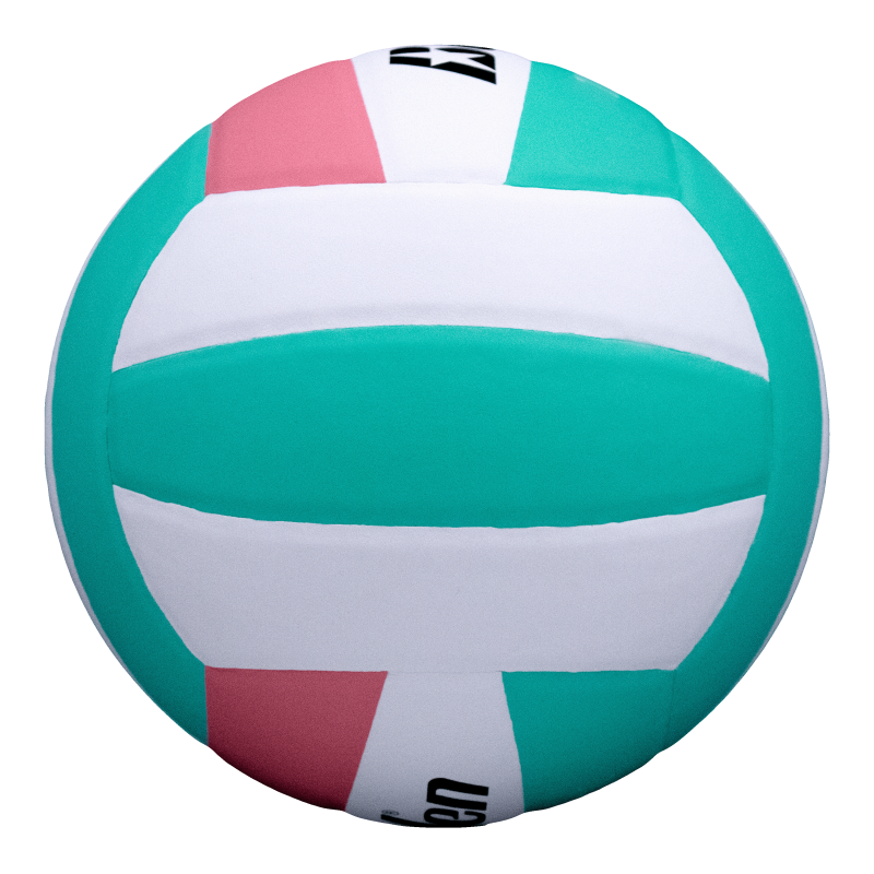 Indoor Volleyball for Youth Training - Official Size & Lightweigh
