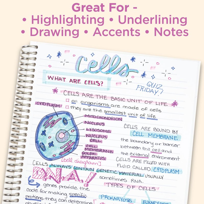 Double-Ended Creative Highlighter Set with Soft Colors - 10 Assorted Pens