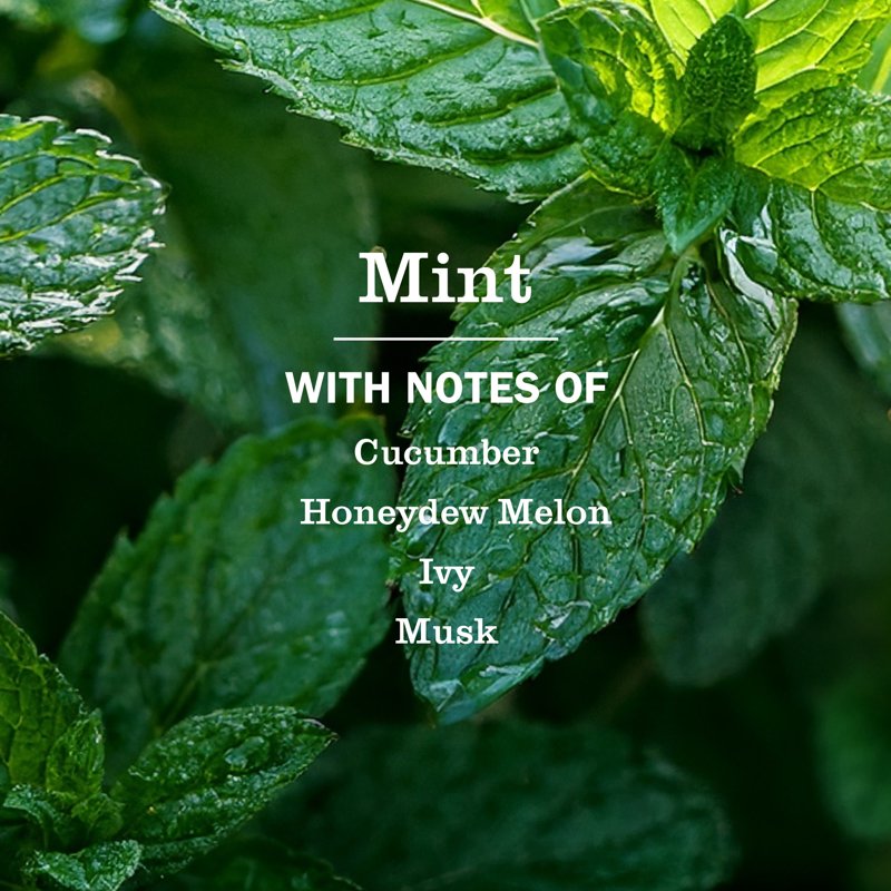 Mint Scent Liquid Hand Soap - Moisturizing & Garden-Inspired, 12.5 Fl Oz