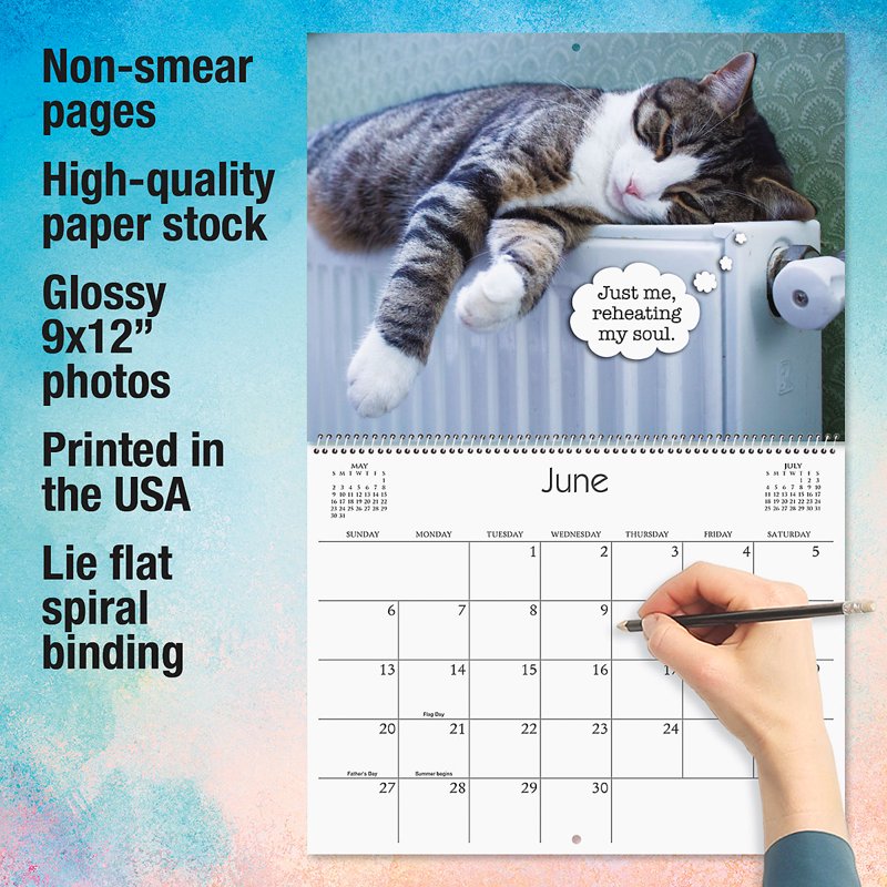 Current 2027 Cat Wall Calendar - Spiral-Bound Monthly Organizer for Kitchen & Office
