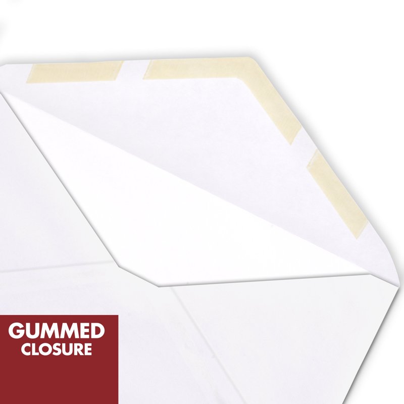 Gummed #6 3/4 Envelopes 100-Pack for Office & Mailing - White