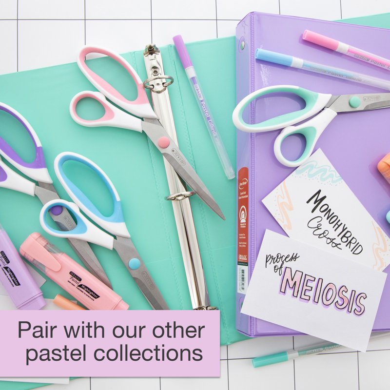 Assorted Pastel Color 3-Ring View Binders - 175 Sheets, 4 Pack