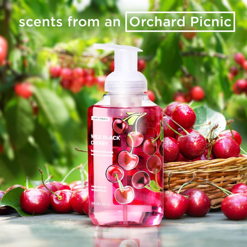 Foaming Hand Soap with Wild Black Cherry Scent - 2 Pack, 11 fl oz each