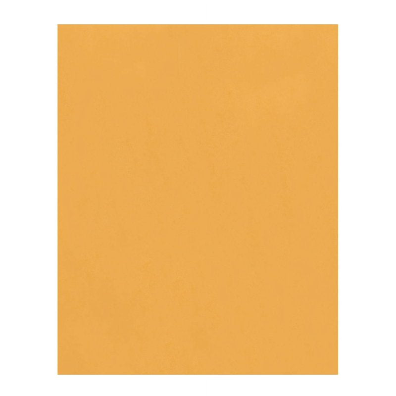 Large Kraft Mailing Envelopes with Moist Seal and Clasp Closure - 28lb, 100 Pack