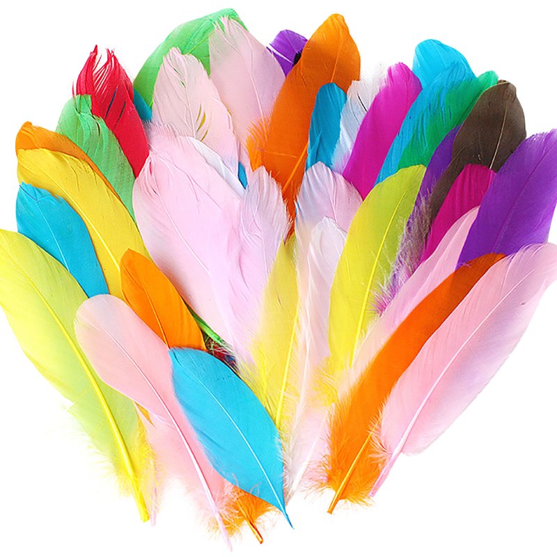 Natural Colorful DIY Craft Feathers Set of 50 for Arts & Crafts