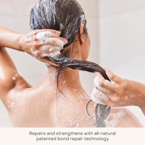 Everist The Complete Shower Kit, Strengthens & Repairs Hair, Deep Hydration & Smoothing, Shampoo, Deep Conditioner & Body Wash Concentrates, Compostable Konjac Sponge & Jute Travel Bag, 3.4 fl oz