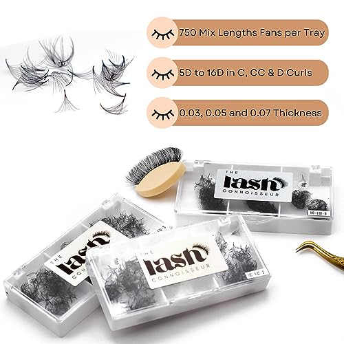 6D - CC Curl 750 Fans Mixed Promade Fans Lash Extensions | TLC Lash Supplies 4D to 16D Premade Fans 7 mm to 16 mm Mixed Length Thin Base Premade Fans Eyelash Extensions (6D - CC Curl, 13-14-15 mm)