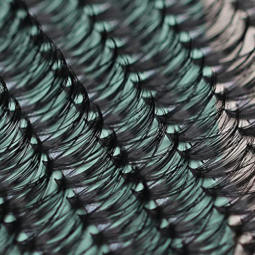 Sulv 200Pcs Dramatic Eye Lash C Curl Natural Look Mixed Size Cluster Eyelash False Eyelash 20D/30D Thick Eyelash Extension Make up Tools (10/12/14/16mm Mixed)