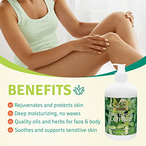 Aloe Life - Face & Body Lotion, Concentrated Formula, Hydrates Dry Skin, Contains Antioxidants, Minerals, & Herbal Extracts, Pleasant Grapefruit Scent, Safe For All Skin Types, Gluten-Free (16 oz)