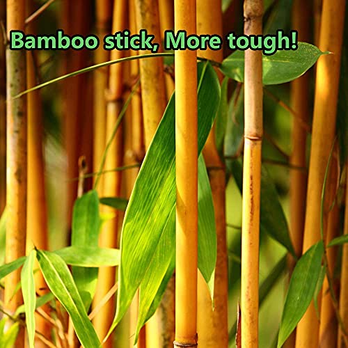 3600pcs Precision Tip Cotton Swabs for Makeup, Bamboo Sticks and Double Pointed