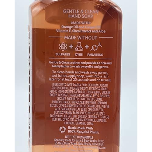 Bath and Body Works Gentle & Clean Foaming Hand Soap, 8.75 fl. oz. (Aromatherapy Orange Ginger, 2-Pack)