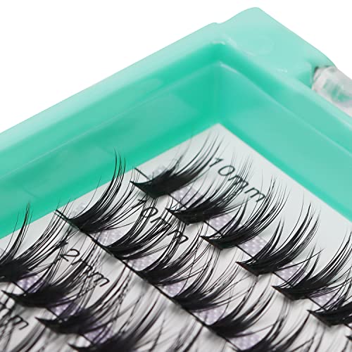 Bodermincer XXXL Tray 560pcs 40D Cluster D Curl 10-12-14-16mm Mixed Cluster DIY at Home Lashes Eyelashes Extensions (40D-D Curl-10-12-14-16mm Mixed)