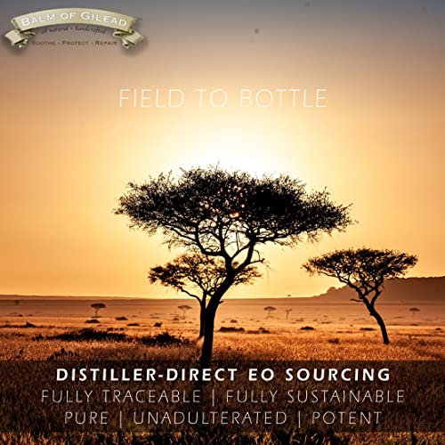 Foot Healing Cream ? Intensive Moisture and Healing, Foot Care and Body, Skin Soothing Cream - Eczema, Ringworm, Dry, Chaffed Skin, Nail - Tea Tree with Eucalyptus, Frankincense and Sweet Myrrh