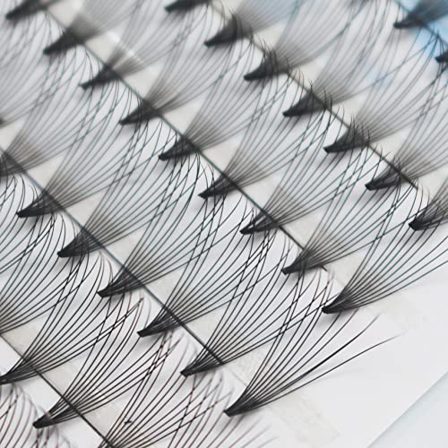 Bodermincer 10D 0.07D 200pcs Premade Fans Eyelash Extensions Premade Lash Extensions Fans Premade Volume Eyelash Extensions Premade Volume Fans (12mm)