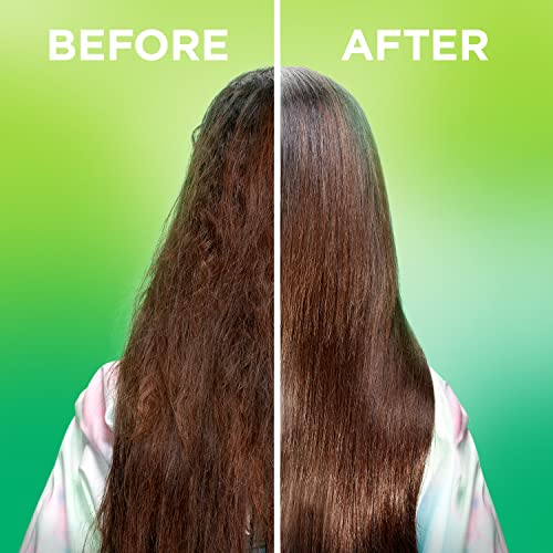 Garnier Fructis Sleek & Shine Leave-In Conditioning Cream for Frizzy, Dry Hair, Plant Keratin + Argan Oil, 10.2 Fl Oz, 1 Count (Packaging May Vary) (Pack of 2)