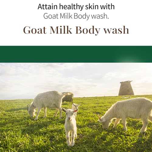 Premium Goat Milk Body Wash, 27 Fl Oz, Pack Of 2 (Strawberry)