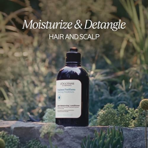 L'Occitane Aromachologie Purifying Freshness Conditioner 16.90 fl. oz