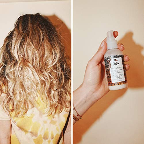 R+Co SUN CATCHER Vitamin C Leave-In Conditioner ? Hydrating & Detangling Hair Treatment, Adds Shine & Protects Hair, All Hair Types