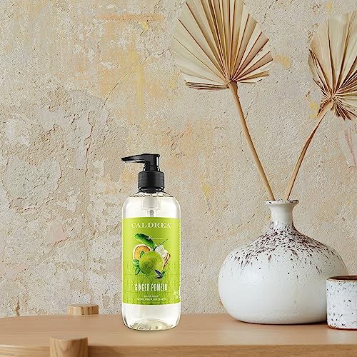 Caldrea Hand Wash Soap, Ginger Pomelo Scent, 10.8 oz
