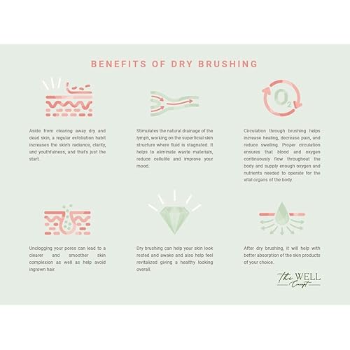 Body & Face Dry Brush Set