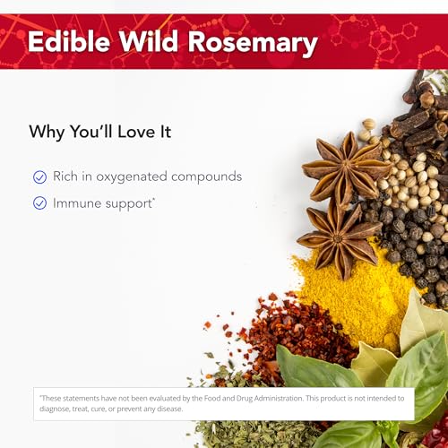 Physician's Strength Wild Rosemary Oil - 1 fl oz - Edible Wild Rosemary - Chemical Free - 432 Servings