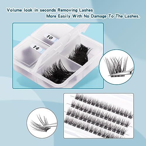 Lash Clusters,Eye Lash Clusters,DIY Lash Extensions Clusters,Individual Lashes,Eyelash Clusters,Lash Clusters D Curl For Home Use,96 Pcs 0.07D 10/12/14/16mm Mix (G09)