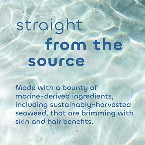 Seaweed Bath Co. Smooth Conditioner, Citrus Vanilla Scent, 12 Ounce, Sustainably Harvested Seaweed, Borage and Broccoli Seed Oils, For Curly and Frizzy Fine Hair